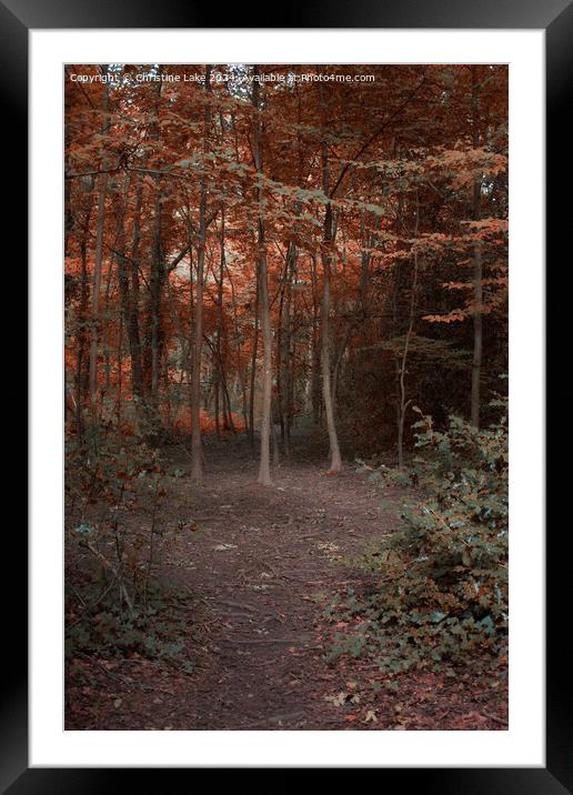 Path To Autumn Framed Mounted Print by Christine Lake