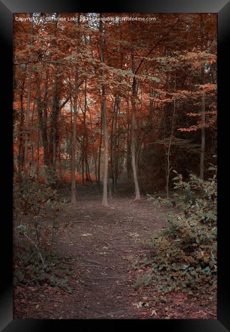 Path To Autumn Framed Print by Christine Lake