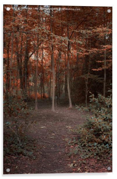 Path To Autumn Acrylic by Christine Lake