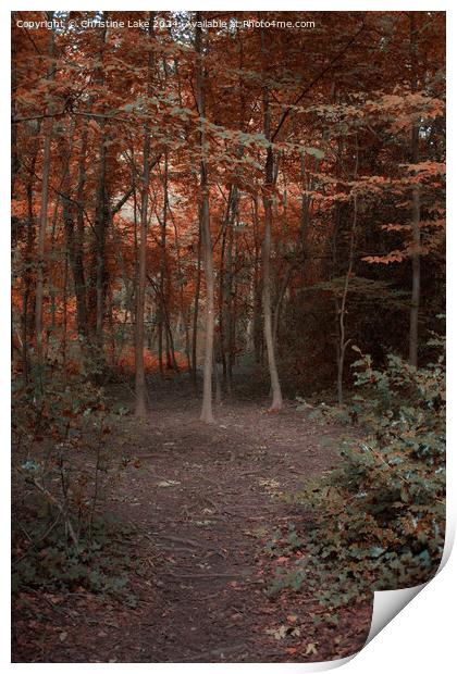 Path To Autumn Print by Christine Lake