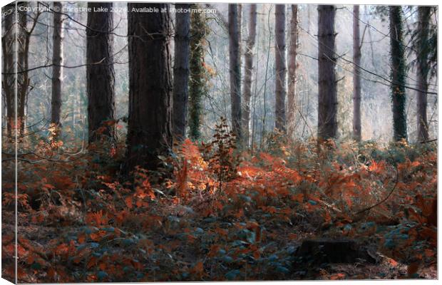 Forest Magic Canvas Print by Christine Lake