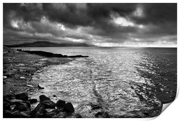Lyme Regis Beach and Jurassic Coastline Print by Darren Galpin