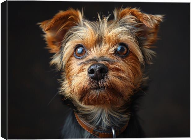 Yorkshire Terrier Portrait Canvas Print by K9 Art