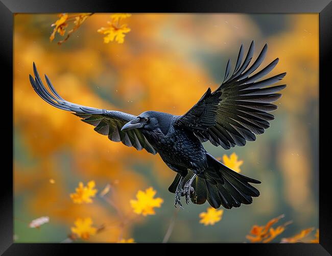 The Crow Framed Print by Steve Smith