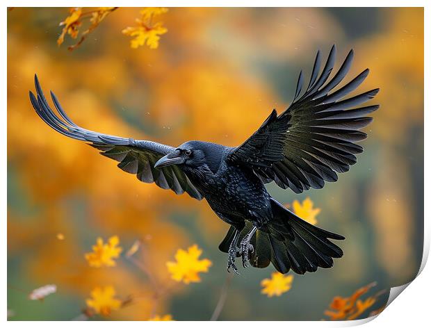 The Crow Print by Steve Smith