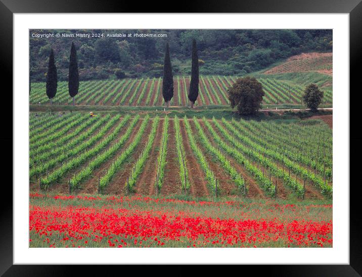 Vineyards and a field of Poppies,  Framed Mounted Print by Navin Mistry
