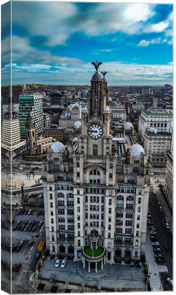 Liverbirds Canvas Print by Harry Fairbrother