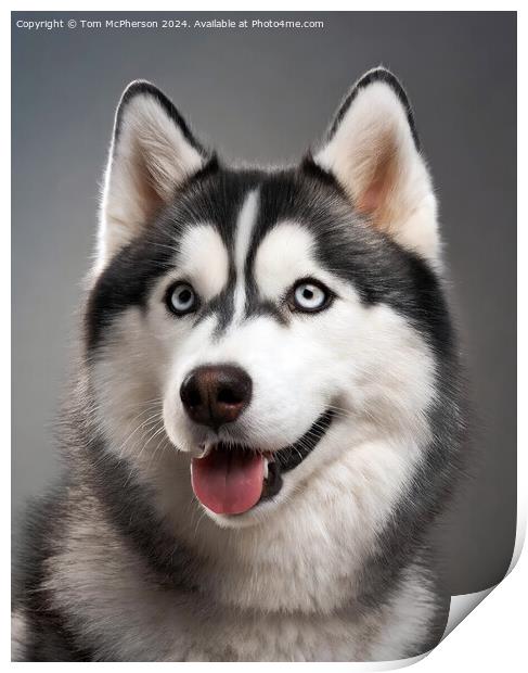 Siberian Husky Print by Tom McPherson