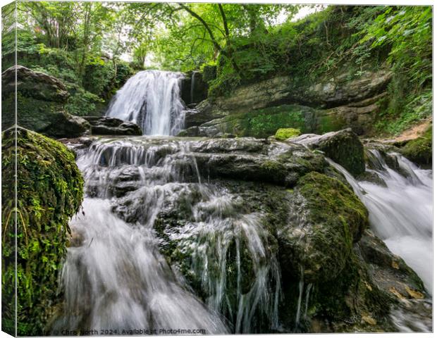 Janets Foss in Malhamdale. Canvas Print by Chris North