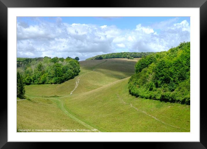 Arundel Park West Sussex Framed Mounted Print by Diana Mower