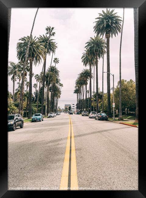 Beverly Hill Palm Trees Framed Print by Benjamin Brewty