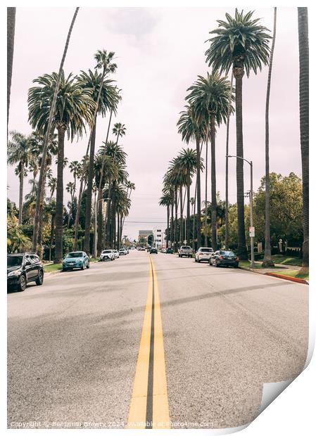 Beverly Hill Palm Trees Print by Benjamin Brewty