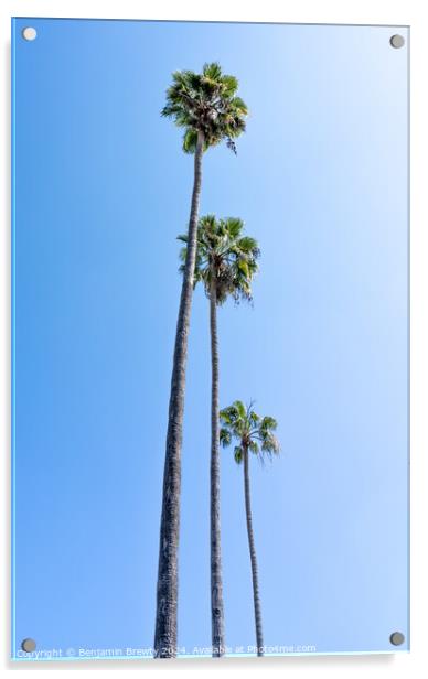 Palm Trees Acrylic by Benjamin Brewty