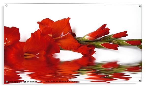 Red Acrylic by Steven Plowman