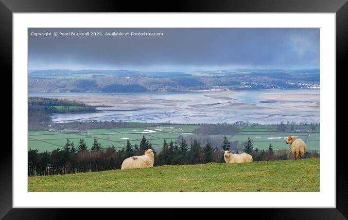 Menai Strait from Mainland Wales Coast Framed Mounted Print by Pearl Bucknall