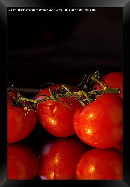 Red, ripe and juicy Framed Print by Steven Plowman