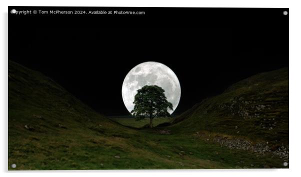 The moon and the Sycamore Gap tree  Acrylic by Tom McPherson