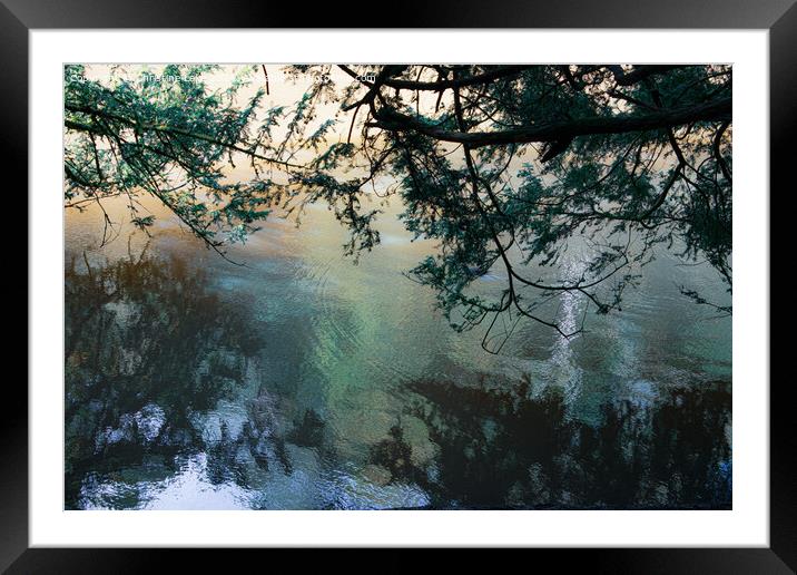 Watery Reflections Framed Mounted Print by Christine Lake