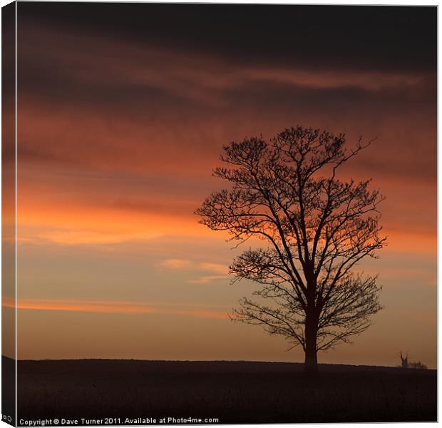 Norfolk Sunrise, Wramplingham Canvas Print by Dave Turner
