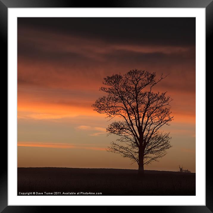 Norfolk Sunrise, Wramplingham Framed Mounted Print by Dave Turner