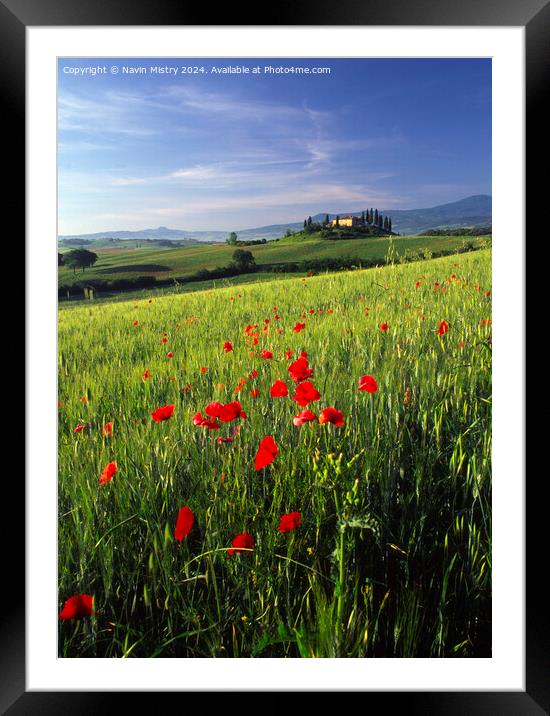 A Tuscan Farm House and Poppies, Val D'Orcia,  Framed Mounted Print by Navin Mistry