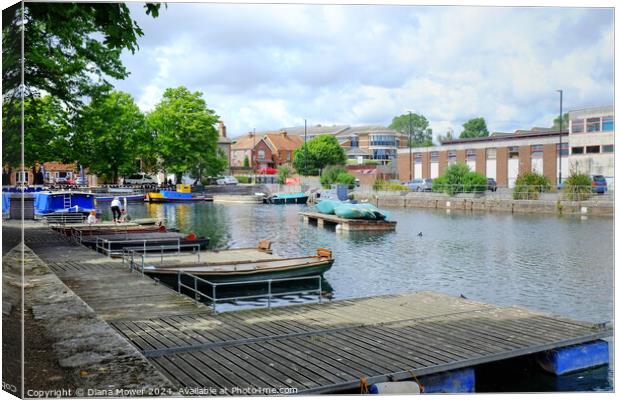 Chichester Canal Basin Canvas Print by Diana Mower
