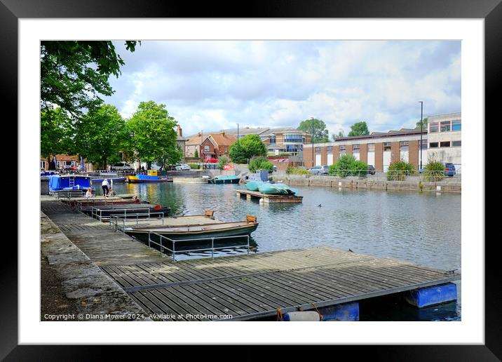 Chichester Canal Basin Framed Mounted Print by Diana Mower