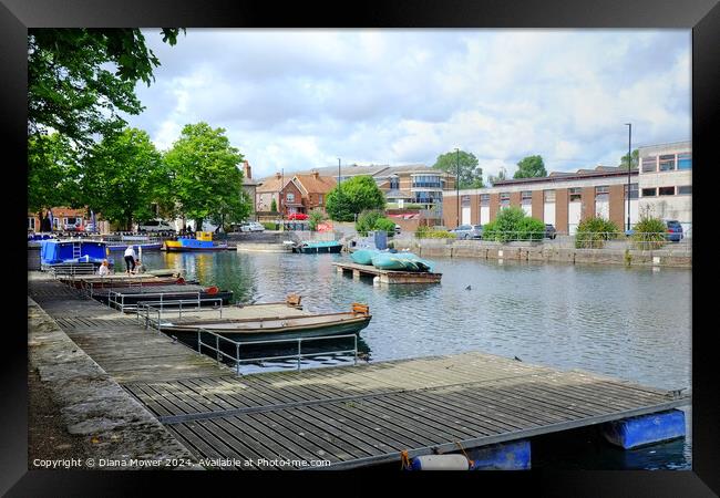 Chichester Canal Basin Framed Print by Diana Mower