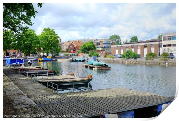 Chichester Canal Basin Print by Diana Mower