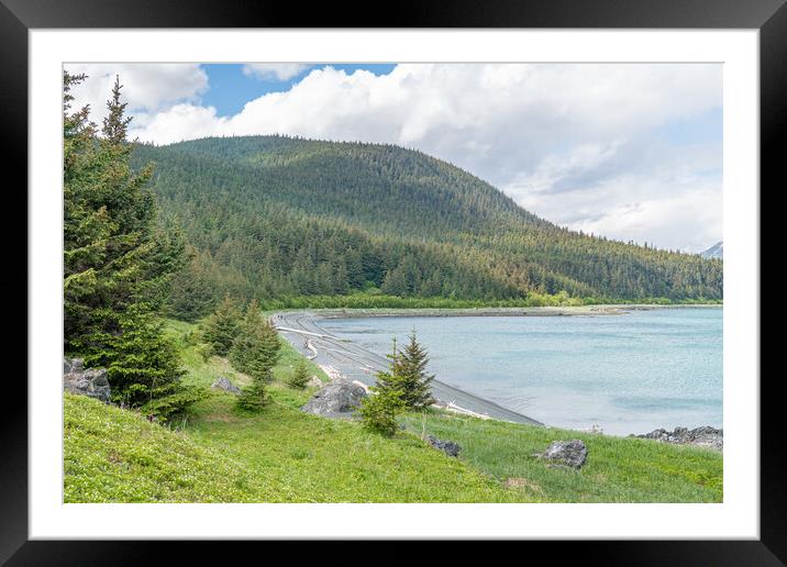 Driftwood logs on the beach in Chilkat State Park, Haines, Alaska, USA Framed Mounted Print by Dave Collins