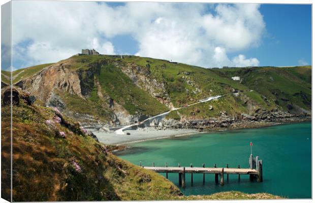 Lundy Island Landing Bay Canvas Print by Michael Hopes