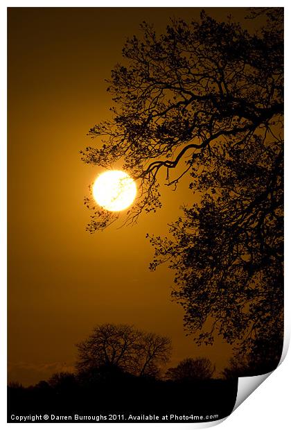 Sunrise Tree  Silhouette Print by Darren Burroughs