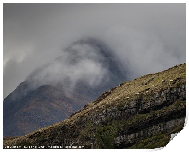 Sheep on the edge, Isle of Skye, Scotland Print by Paul Edney