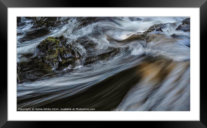 Water Framed Mounted Print by Sylvia White