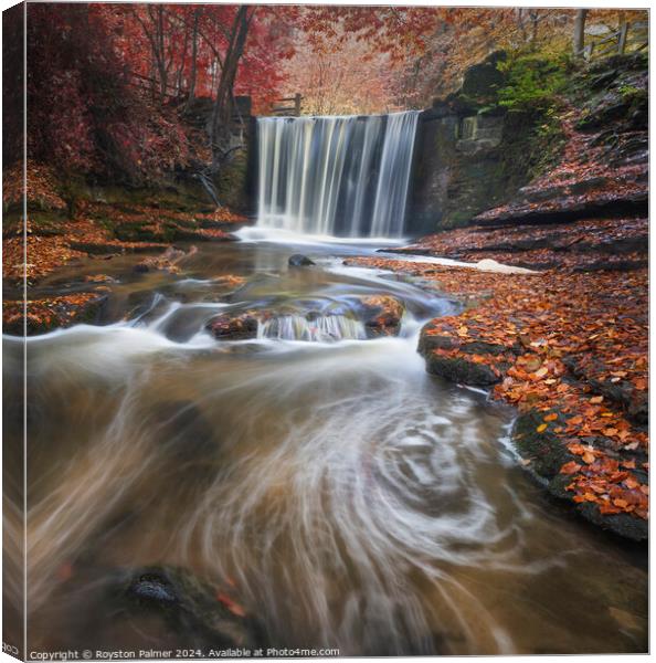 Autumn Colour's - Llangollen Wales  Canvas Print by Royston Palmer
