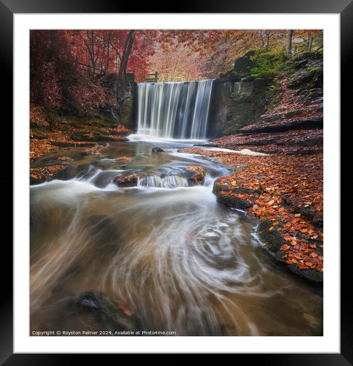 Autumn Colour's - Llangollen Wales  Framed Mounted Print by Royston Palmer