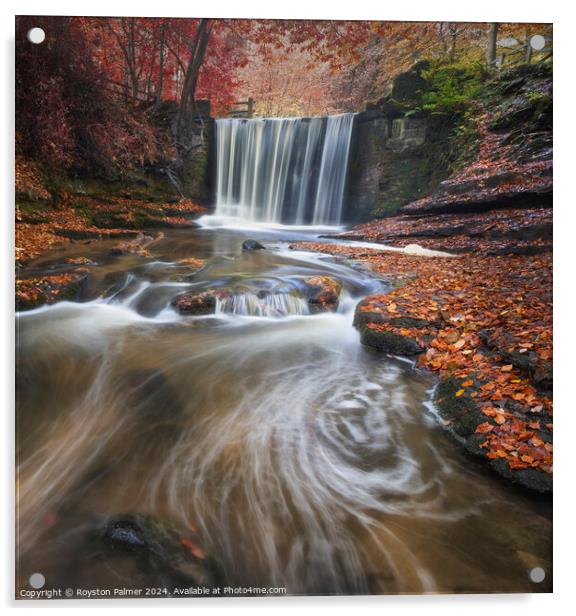 Autumn Colour's - Llangollen Wales  Acrylic by Royston Palmer