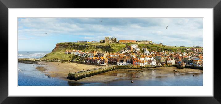 Whitby Panorama  Framed Mounted Print by Anthony McGeever