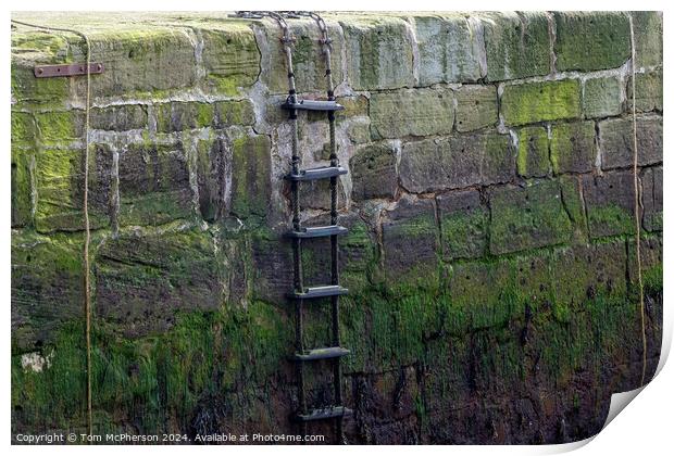 Harbour Wall Print by Tom McPherson