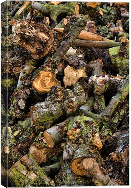 Pile of Logs Canvas Print by Matthew Bates