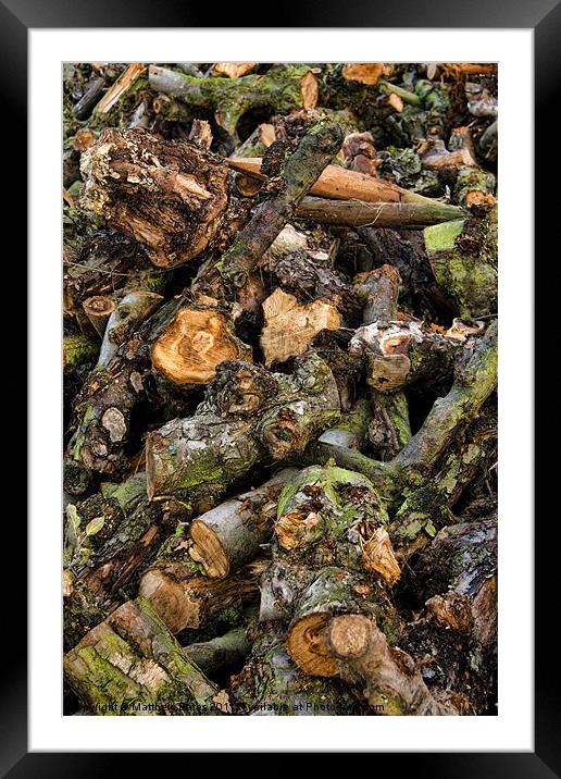 Pile of Logs Framed Mounted Print by Matthew Bates