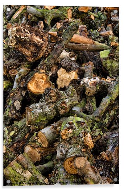 Pile of Logs Acrylic by Matthew Bates