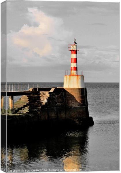 Lighthouse Amble Canvas Print by Tom Curtis