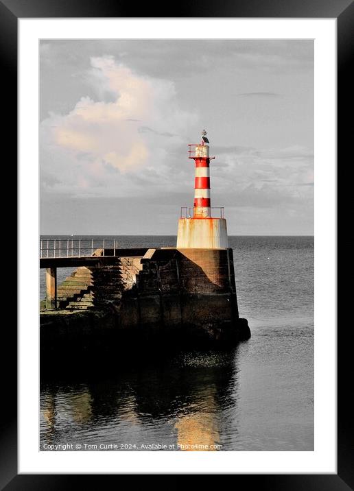 Lighthouse Amble Framed Mounted Print by Tom Curtis
