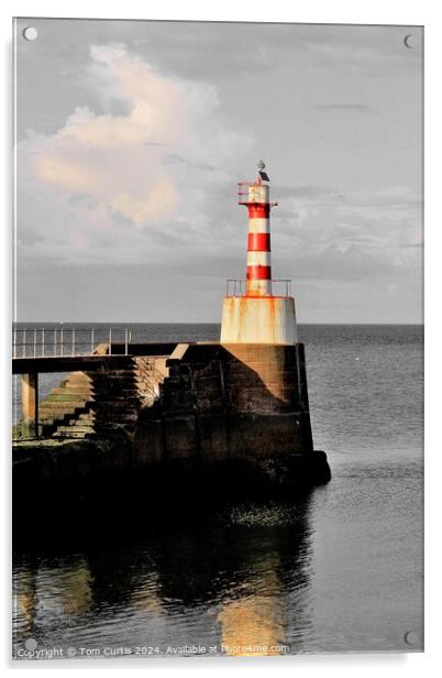 Lighthouse Amble Acrylic by Tom Curtis