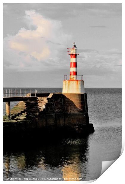 Lighthouse Amble Print by Tom Curtis
