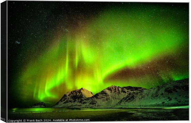 Northern lights aurora on Lofoten, Norway Canvas Print by Frank Bach