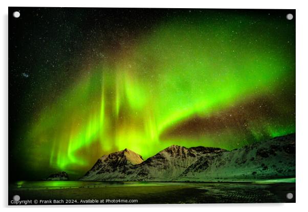 Northern lights aurora on Lofoten, Norway Acrylic by Frank Bach