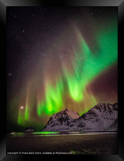 Northern lights aurora on Lofoten, Norway Framed Print by Frank Bach