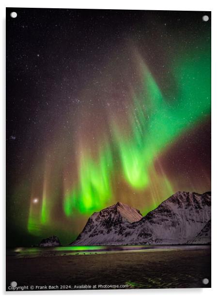 Northern lights aurora on Lofoten, Norway Acrylic by Frank Bach